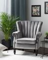 Velvet Wingback Chair Grey SVEDALA_716286