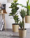 Artificial Potted Plant 90 cm YUCCA_774390