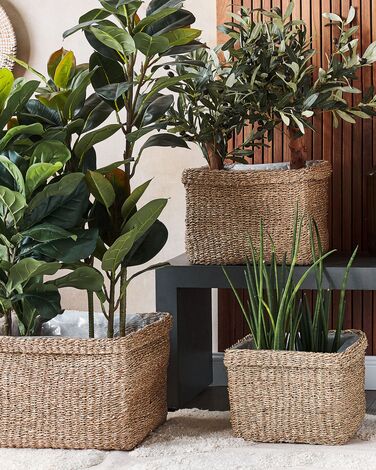 Set of 3 Seagrass Plant Pots Baskets Natural RIVULINE