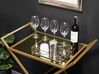 Metal Drinks Trolley with Mirrored Top Gold IVERA_797868