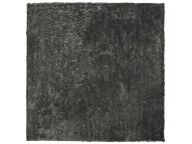 Shaggy Area Rug 200 x 200 cm Dark Grey EVREN