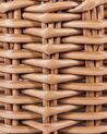 Set of 3 PE Rattan Plant Baskets Brown AUCUBA_914401