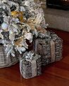 Kerstdecoratie cadeautjes set van 2 zilver INARI_879066