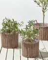 Conjunto de 3 cestas para plantas de ratán marrón PENDULA_914403