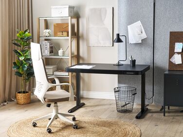 Electric Adjustable Standing Desk 120 x 60 cm with USB port Black KENLY  