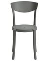 Set of 4 Dining Chairs Dark Grey VIESTE_861695