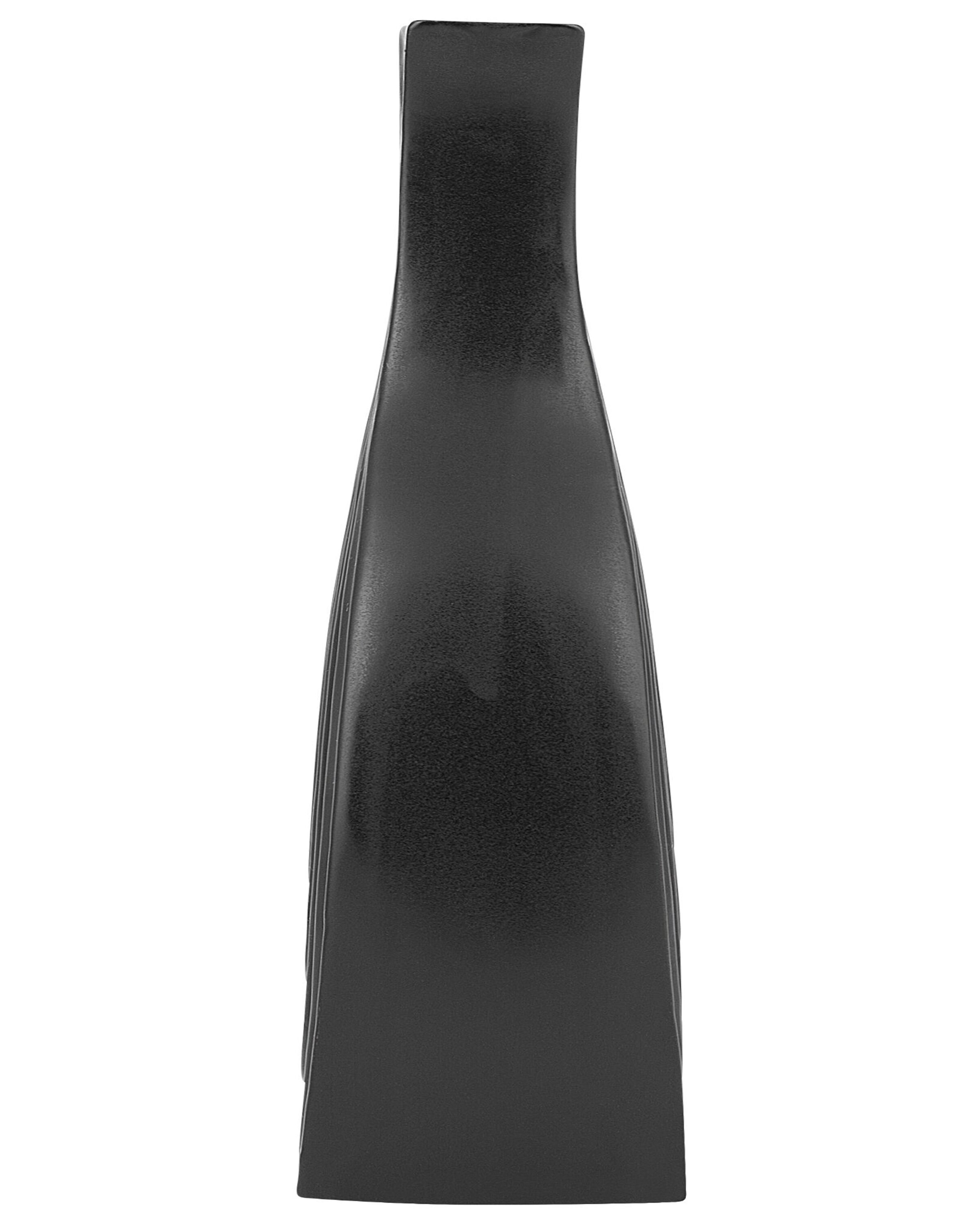 Dekorativ vase 25 cm svart THAPSUS_734342
