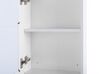 Bathroom Wall Mounted Mirror Cabinet with LED White 40 x 60 cm CONDOR_785540