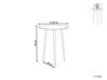 Metal Side Table Silver and Black PUHOI_853953