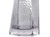 Vaso de vidro cinzento 27 cm LILAIA_838077