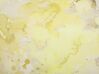 Dekokissen Fleckenmotiv Baumwolle gelb 45 x 45 cm 2er Set PACHIRA_799558