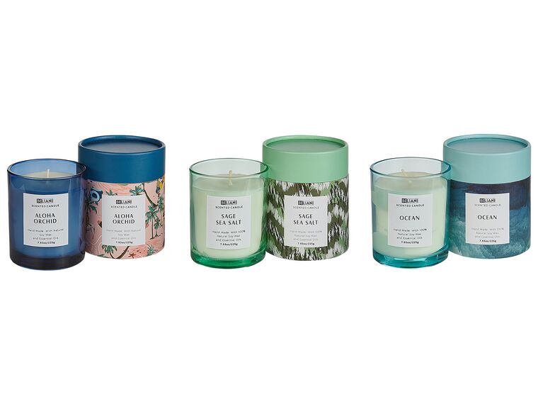 3 Soy Wax Scented Candles Sage Sea Salt / Ocean / Aloha Orchid COLORFUL BARREL_874689