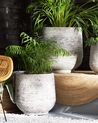 Vaso para plantas em fibra de argila cinzenta clara 39 x 39 x 44 cm DIONI_740476