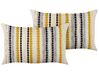 Set of 2 Cotton Cushions 40 x 60 cm Multicolour ARDISIA_840390