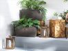 Vaso per piante in color marrone 60x30x30cm PORIA_740236
