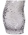Glass Flower Vase 31 cm Grey DYTIKO_838263