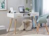 Dressing Table / 2 Drawer Home Office Desk with Shelf 120 x 45 cm White FRISCO_839992