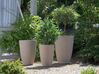 Set of 2 Plant Pots 43 x 43 x 60 cm Beige CAMIA_841572