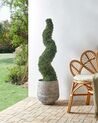 Artificial Potted Plant 120 cm BOXWOOD SPIRAL TREE_901101