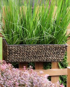 Kukkaruukku parvekkeelle vesihyasintti ruskea 60 x 20 x 18 cm KAWALA