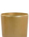 Plant Pot ⌀ 40 cm Gold TSERIA_772627