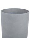 Conjunto de 2 vasos para plantas em pedra cinzenta 31 x 31 x 58 cm ABDERA_841263