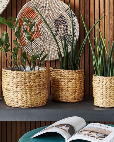 Набір із 3 горщиків із природним водним гіацинтом RONQUIL Набір із 3 горщиків з природним водним гіацинтом RONQUIL