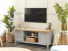 Móvel de TV com 2 portas e 2 prateleiras em cinzento e madeira clara HAMP_826004