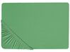 Drap-housse en coton 160 x 200 cm vert JANBU_845582
