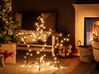 Outdoor Weihnachtsbeleuchtung LED schwarz Sternform 80 cm KERSILO_812559
