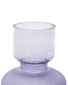 Blumenvase Glas violett 24 cm RODIA_838062