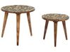 Lot de 2 tables d'appoint en bois de manguier sombre et doré CHANPI_852208