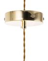 Set of 2 Glass Pendant Lamps Gold ANZA_768302