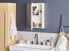 Bathroom Wall Mounted Mirror Cabinet White 40 x 60 cm PRIMAVERA_811293