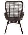 Rattan Accent Chair Brown TOGO_703672