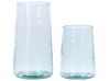 Set of 2 Clear Glass Decorative Vases 25/17 cm KULCHE_823823