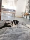 Linen Pet Bed 65 x 50 cm Grey CANDIR_829478