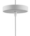 Metal Pendant Lamp White DANUBE_690959