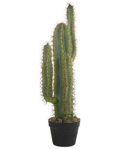 Tekokasvi 78 cm CACTUS Tekokasvi 78 cm CACTUS