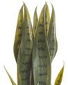 Sztuczna roślina doniczkowa 40 cm SNAKE PLANT_822700