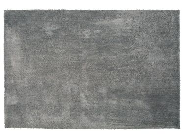 Teppich hellgrau 160 x 230 cm Shaggy EVREN
