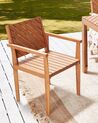 Cadeira de jardim em madeira de acácia clara BARATTI_869017