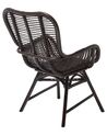 Rattan Accent Chair Brown TOGO_703675
