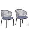 Set of 2 Garden Chairs Grey PALMI_808204