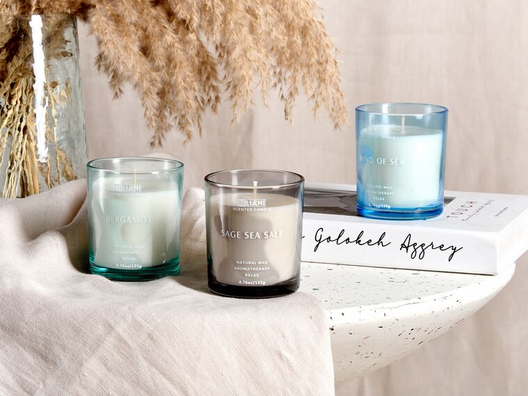 3 Soy Wax Scented Candles Bergamot/ Wind of Sea/ Sage Sea Salt SHEER