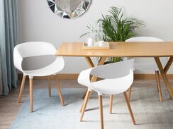 Tuoli muovi valkoinen 2 kpl CHARLOTTE Tuoli muovi valkoinen 2 kpl CHARLOTTE