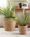 Set of 3 Water Hyacinth Plant Pots Natural PLAKA _826515
