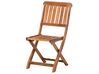 Set of 2 Acacia Garden Folding Chairs Dark Wood CENTO_691108