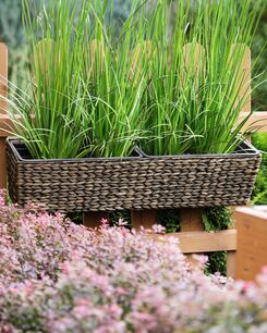 Kukkaruukku parvekkeelle vesihyasintti ruskea 80 x 20 x 18 cm KAWALA Kukkaruukku parvekkeelle vesihyasintti ruskea 80 x 20 x 18 cm KAWALA