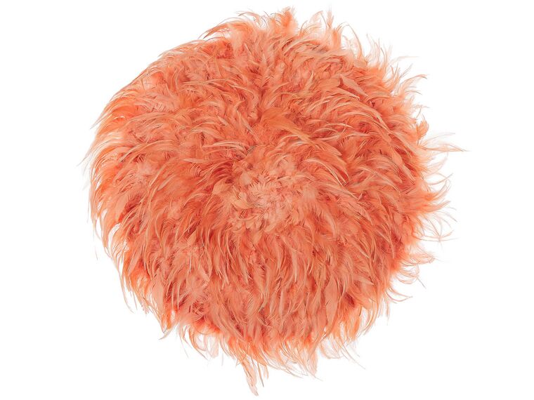 Feather Wall Decor ø 60 cm Coral Red JUJU_723446